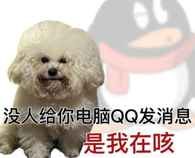 202312281240005388.Jpeg